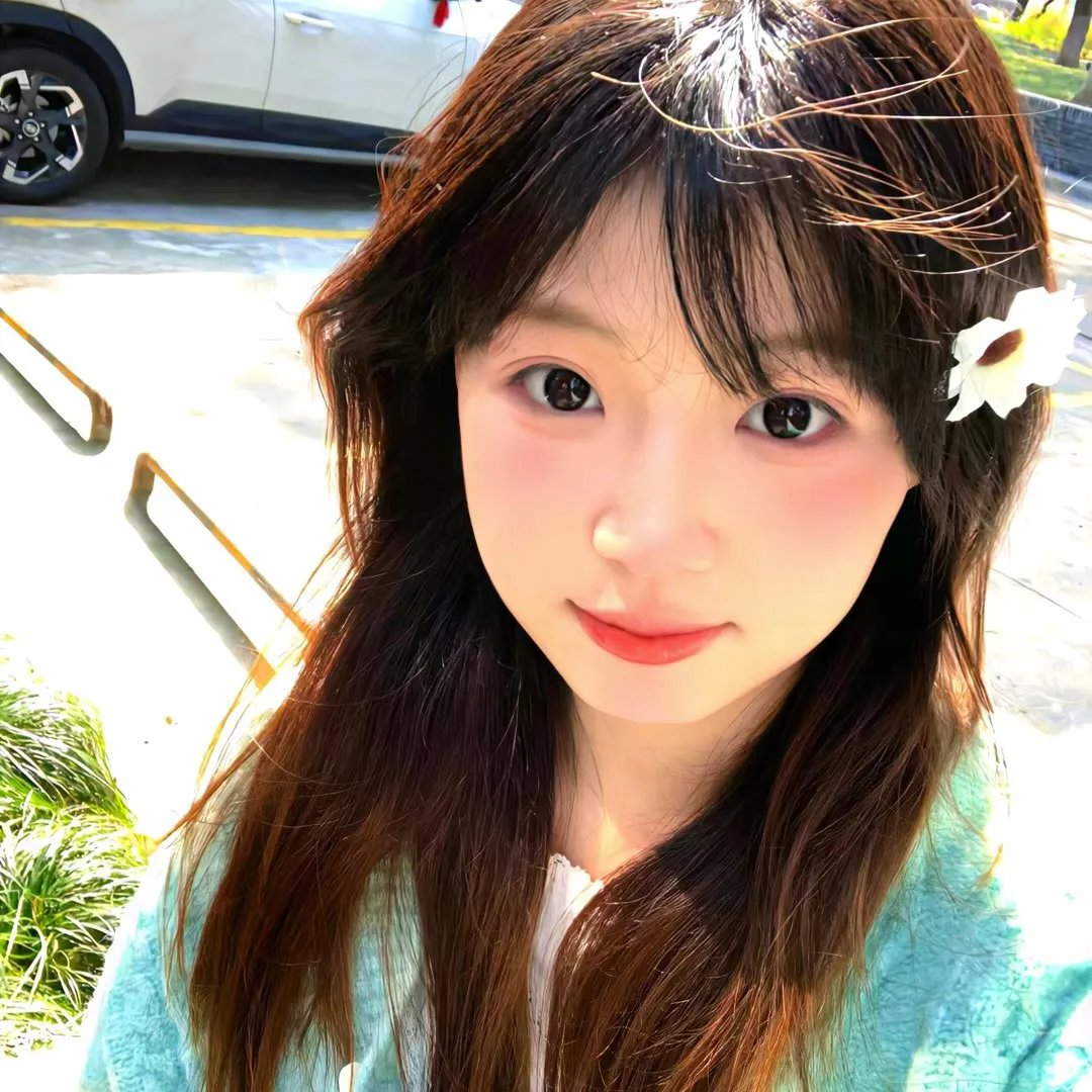 芭拉芭拉樱之花