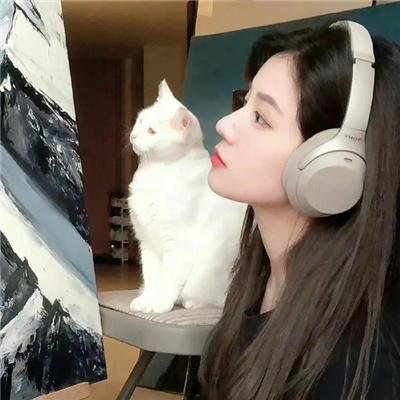 赢得美人